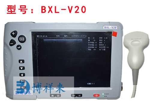 母猪B超测孕仪BXL-V20
