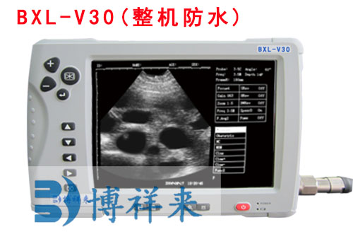 猪用B超机BXL-V30